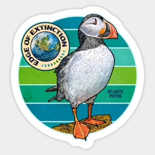 EDGE OF EXTINCTION Atlantic Puffin Sticker